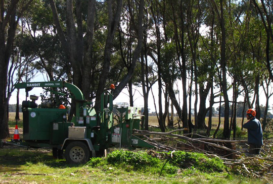 Chipping Services in Eltham